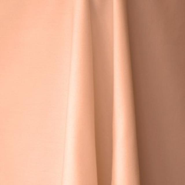 Rental store for PEACH LINENS in Grapevine TX