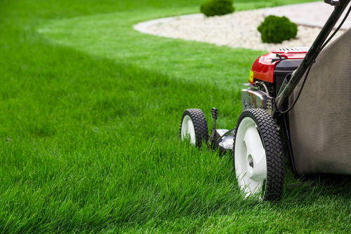 Rent Lawn / Garden